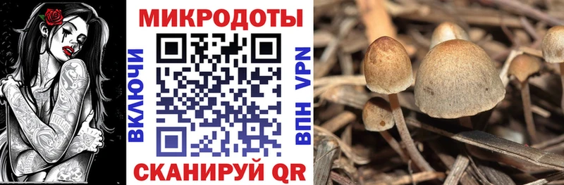 Галлюциногенные грибы прущие грибы  купить  сайты  Орёл 